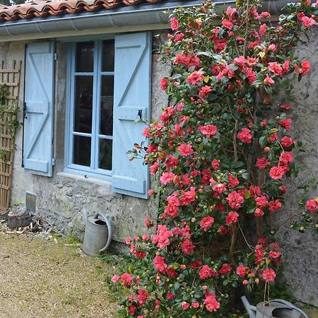 Bed and Breakfast La Maison Du Parc Lacave  Екстер'єр фото